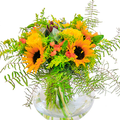 The first impression of this arrangement is sheer exuberance-vivid yellows and oranges beam from a luxurious mix of sunflowers and garden roses, recalling sun-drenched afternoons around Keston Common. Each sunflower is a miniature sun in itself, with rich brown centers framed by broad, golden petals, paired with plush yellow roses whose petals spiral gracefully. Among the display, glossy scarlet hypericum berries are scattered like rubies, standing out dramatically against the deep greens. Cascading feathery fern fronds and the subtle softness of solidago filler contribute gentle movement and depth, their pale blossoms echoing the wildflowers found on the outskirts of Keston. Hints of silvery eucalyptus leaves drift through the bouquet, adding both rustic elegance and cool undertones that offset the fiery blooms. The arrangement rests in a round glass vase, where clear, still water magnifies the freshness of the stems and enhances the vibrant palette. This bouquet is more than a collection of flowers-it's a celebration of Keston's rural beauty and close-knit community, perfect for anniversaries, birthdays, or simply brightening a home by the village green. Every element reflects the expertise and care of local florists, creating not just a visual feast but an invitation to savor the moment.